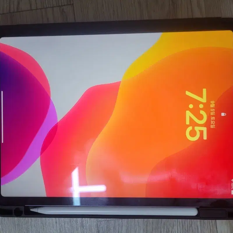 아이패드 프로 11 64GB