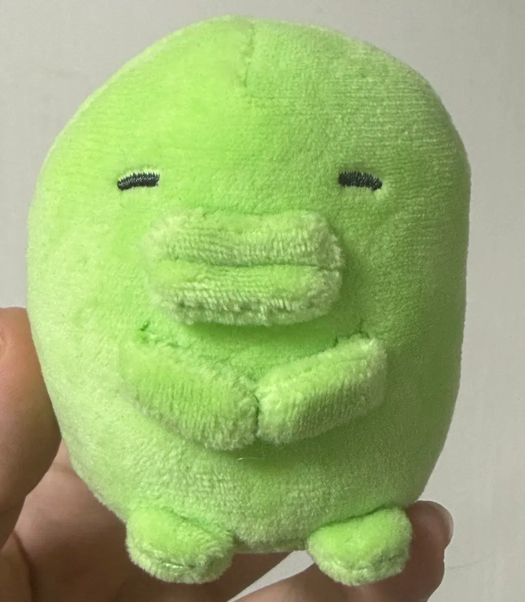 주댕치 푸리누이 구치파치 푸리누이