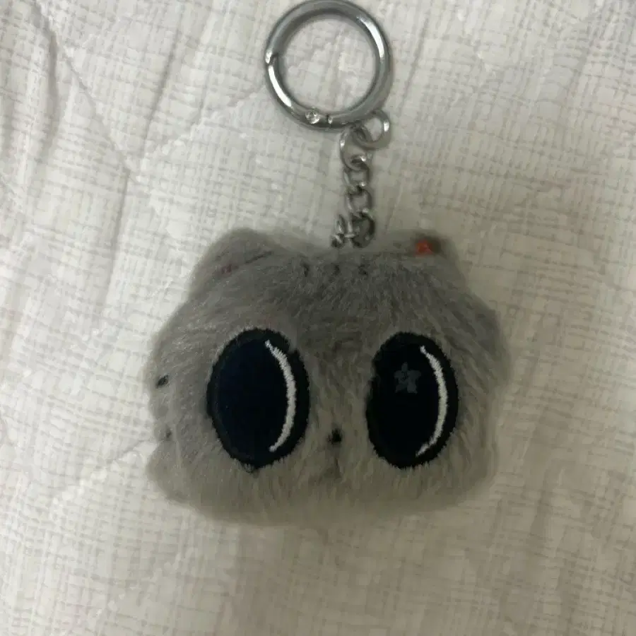 투바투 태현 다고냥 키링