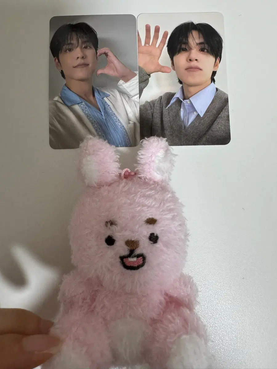 원가+포카) 데이식스 원필 데니멀즈 시팅버전 앉멀 미션넘버나인 필끼 팬미팅입장포카 언필터드