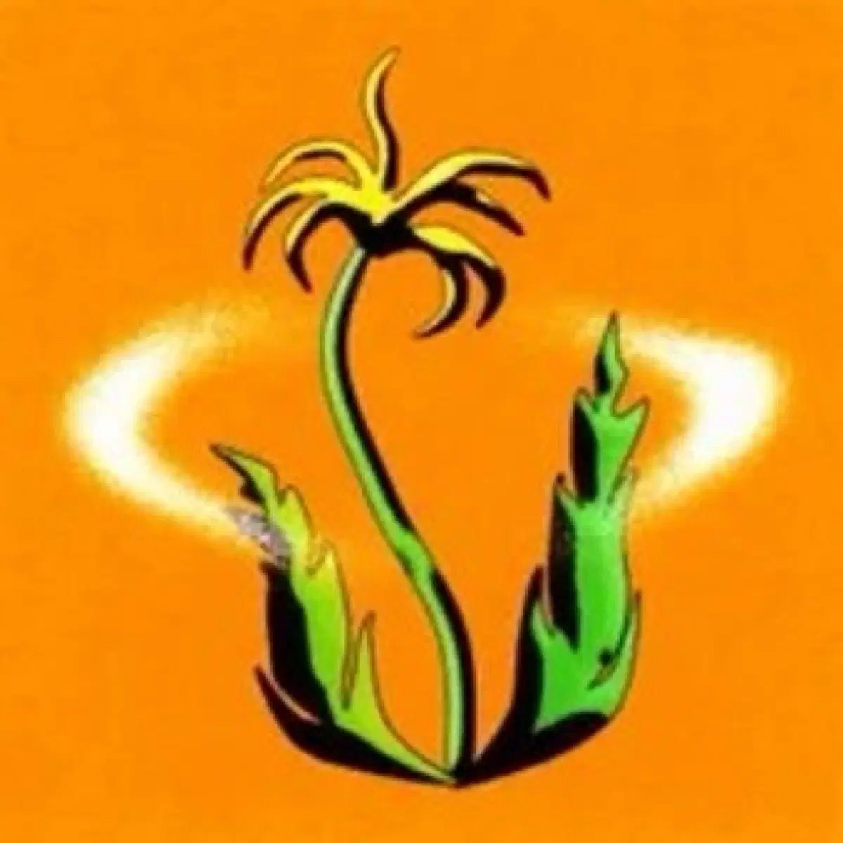 TVT New Plant 앨범