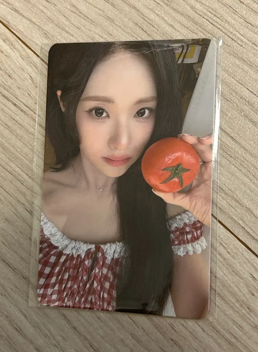 프로미스나인 콘서트 포카