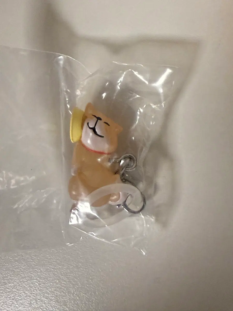 시바견 키링 메자루시 가챠 shibanaban 시반반 강아지