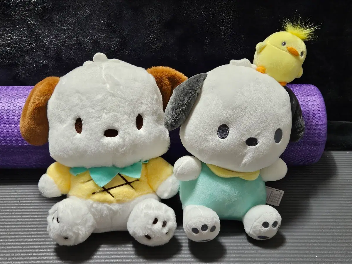 포차코 인형 세트