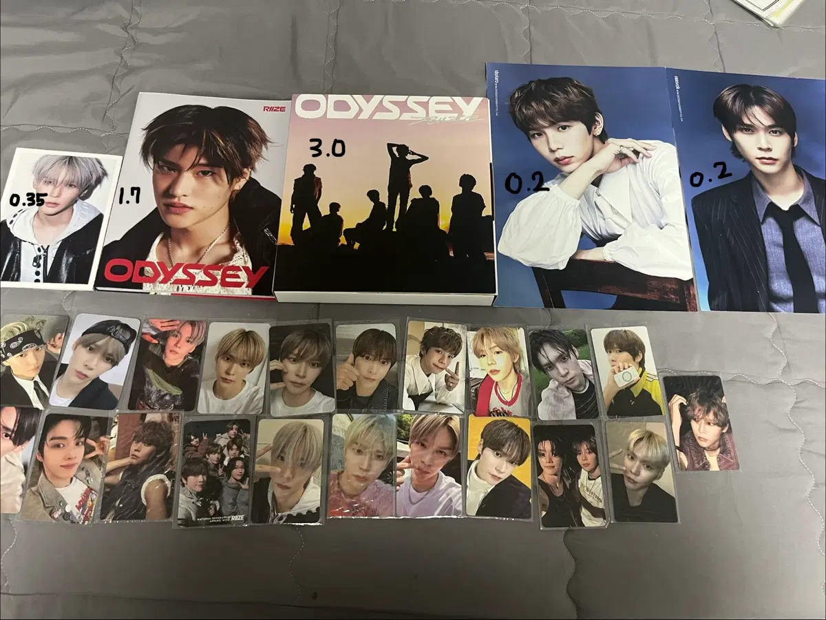 라이즈 굿즈 판매