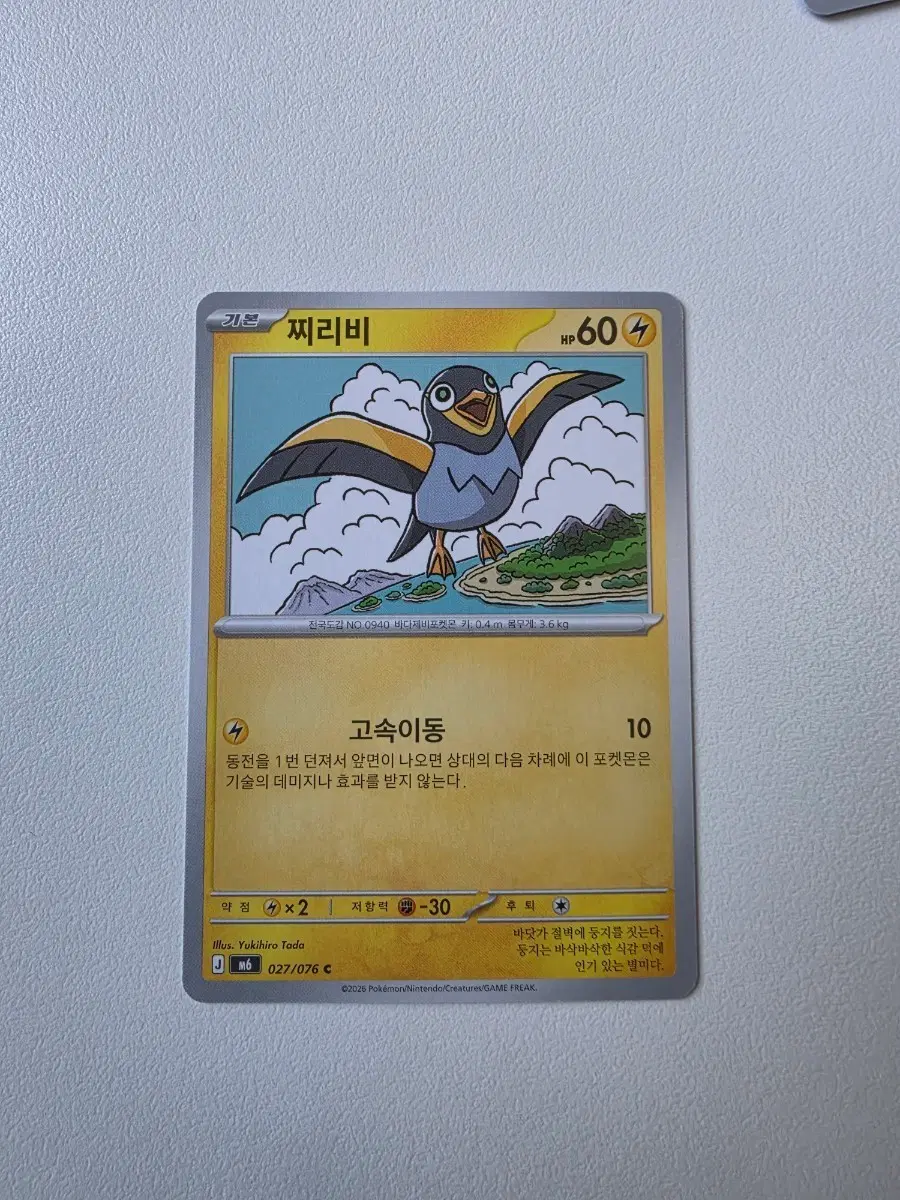 포켓몬 카드 찌리비