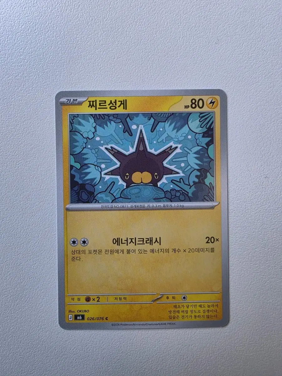 포켓몬 카드 찌르성게
