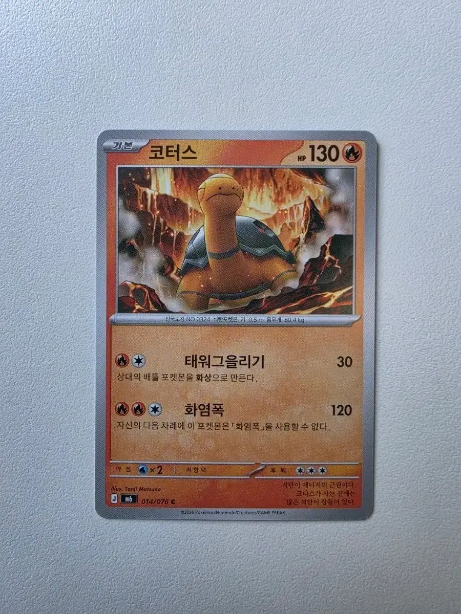 포켓몬 카드 코터스