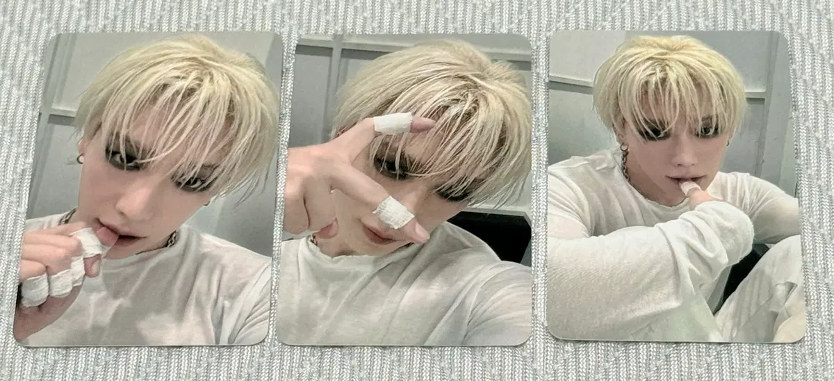 원호 헬로라이브 팬싸 특전 양도
