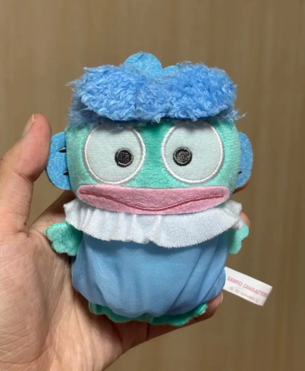 산리오 한교동 샤워가운 목욕 마스코트 인형 하피단부이