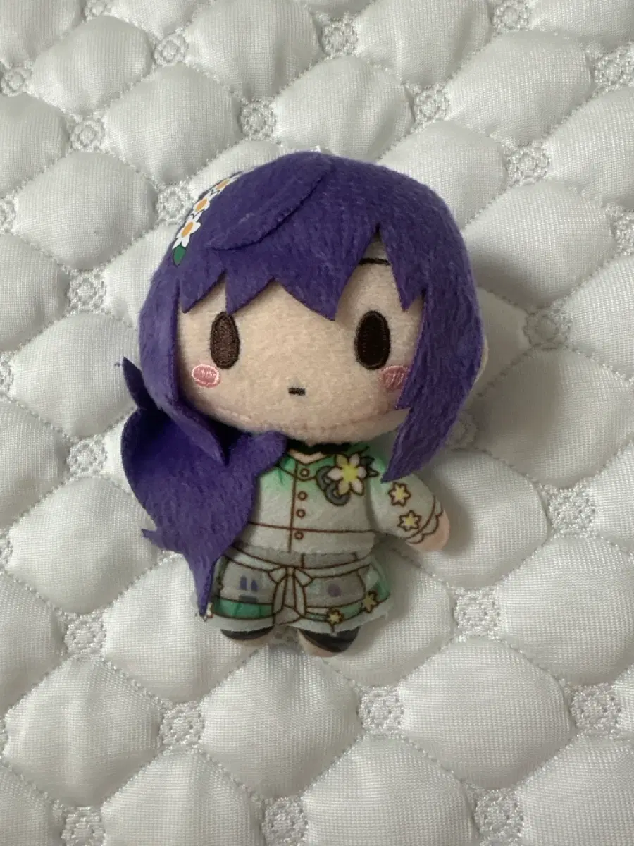 프세카 아사히나 마후유 페일컬러 누이