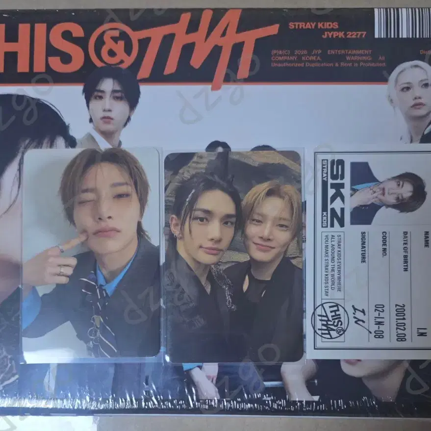 Straykids This ver. I.N set 디스버전 아이엔