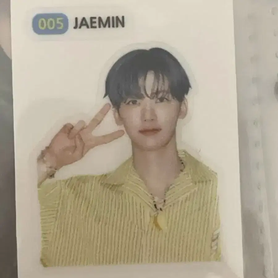 런쥔 시그 폴라&2026시그 재민 띠부실 양도
