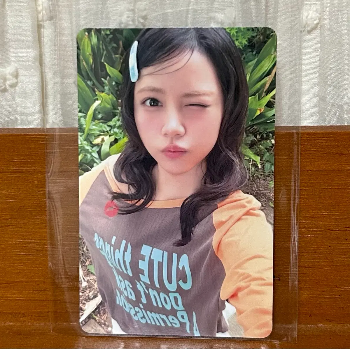 하츠투하츠 아이코닉 하트 유니버셜 럭드 카르멘 포카 양도 일본 앨범 럭키드로우