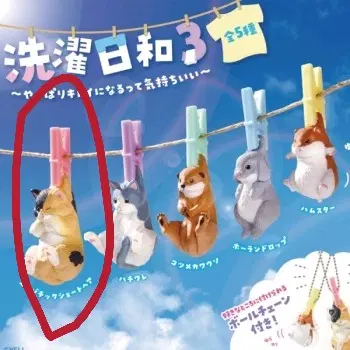 세탁하기 좋은 날씨 3탄 고양이 가챠