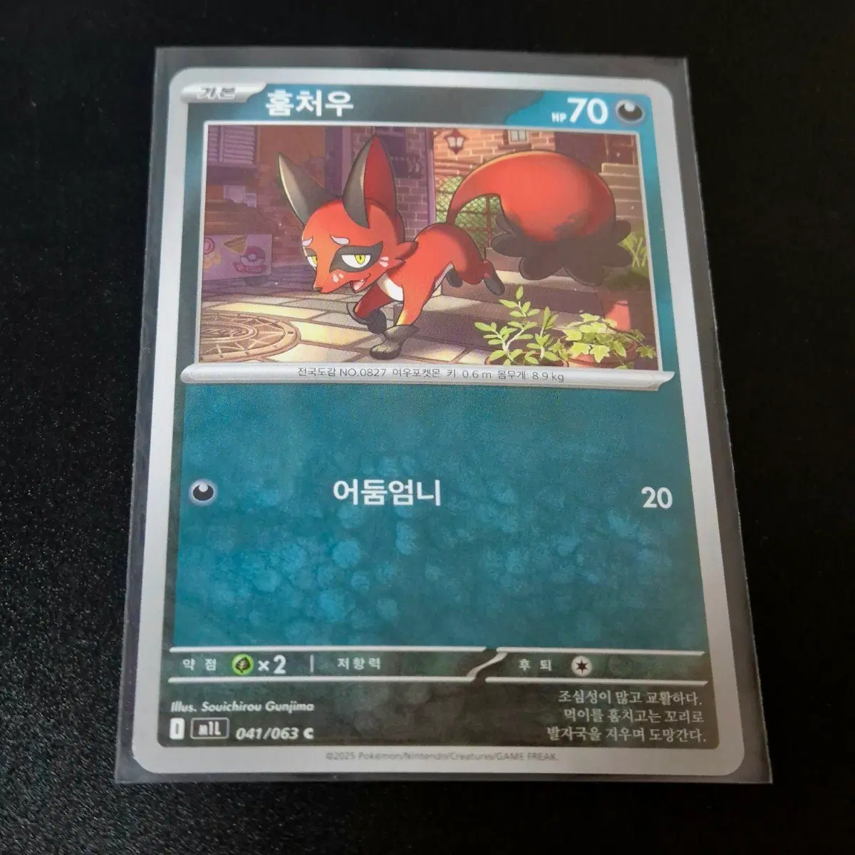 포켓몬 카드 훔쳐우 기본 카드