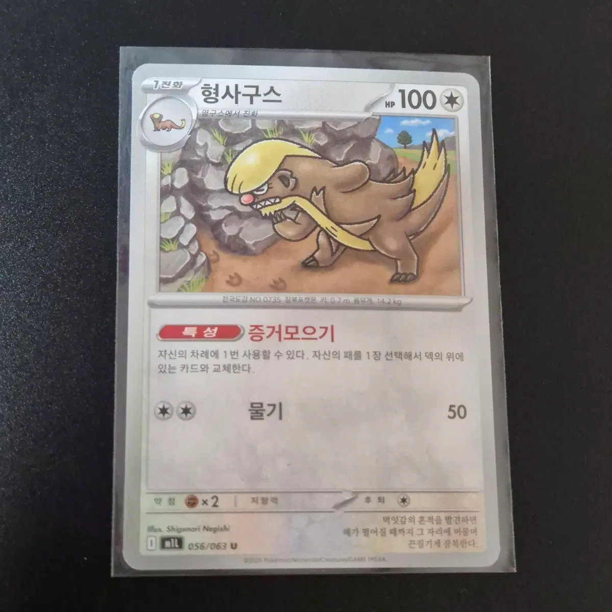 포켓몬 카드 형사구스 카드
