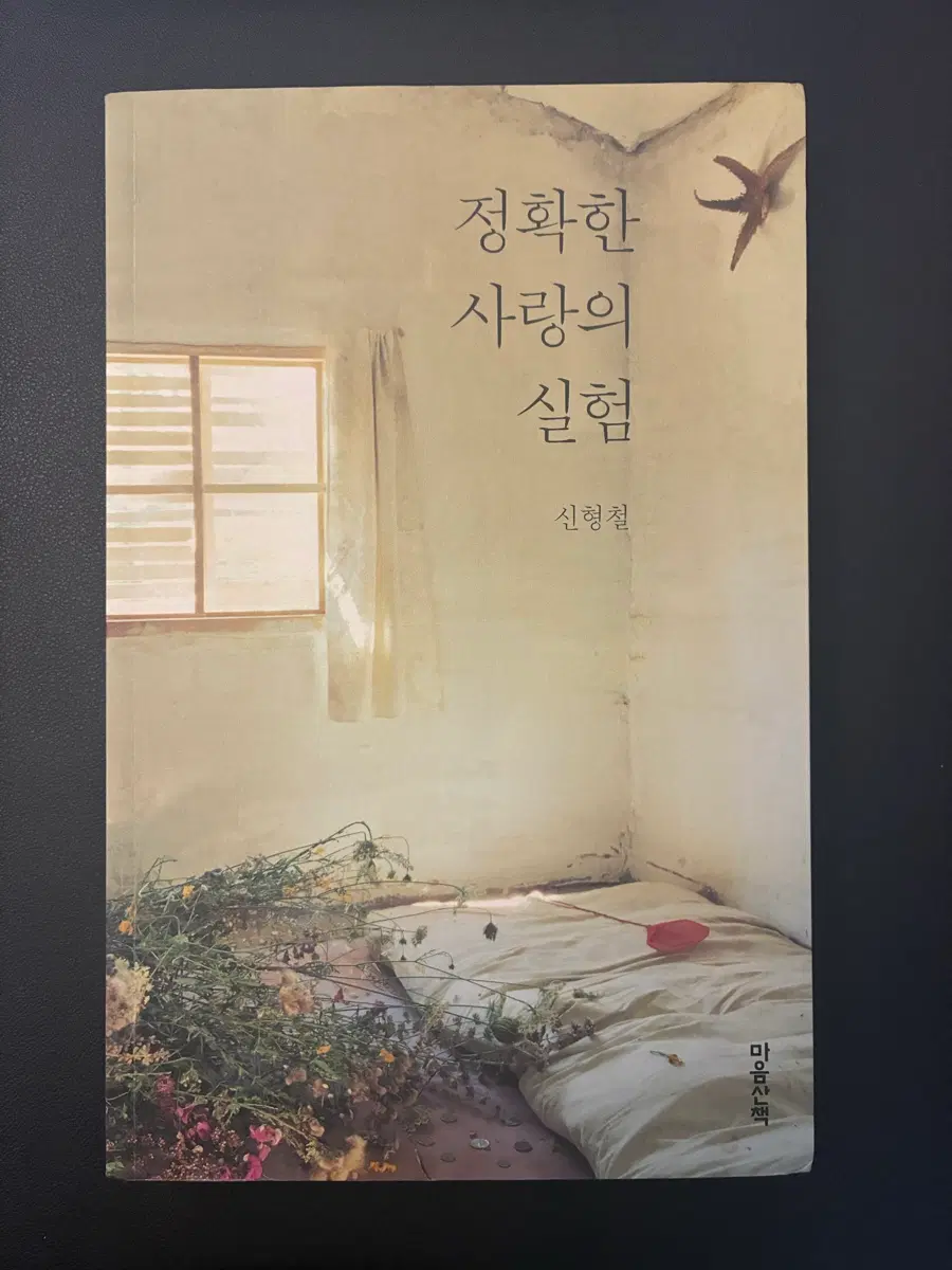 정확한 사랑의 실험 (신형철)