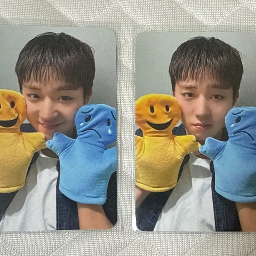 박지훈 미공포 포카일괄 양도