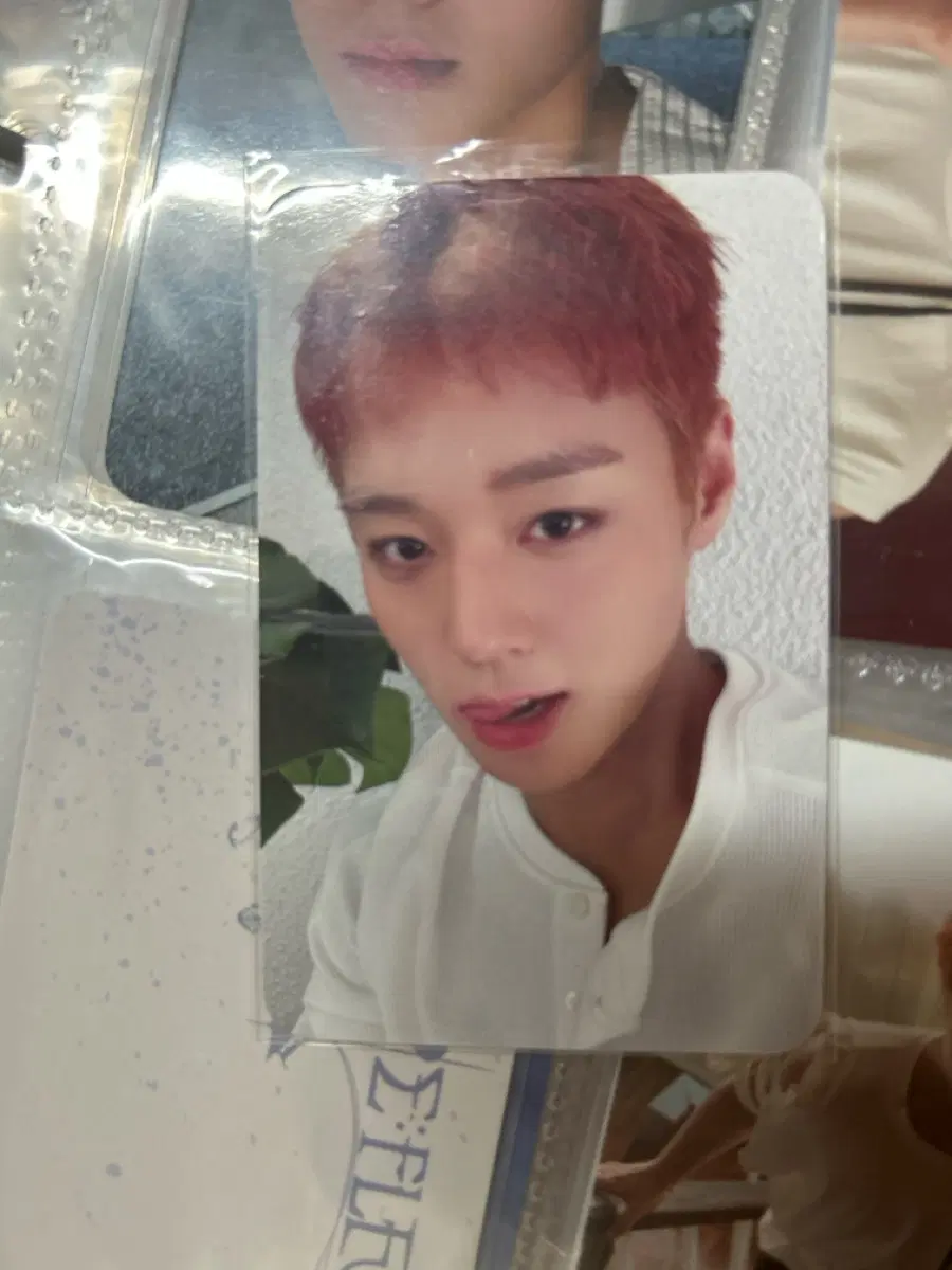 박지훈 포카 팔아요