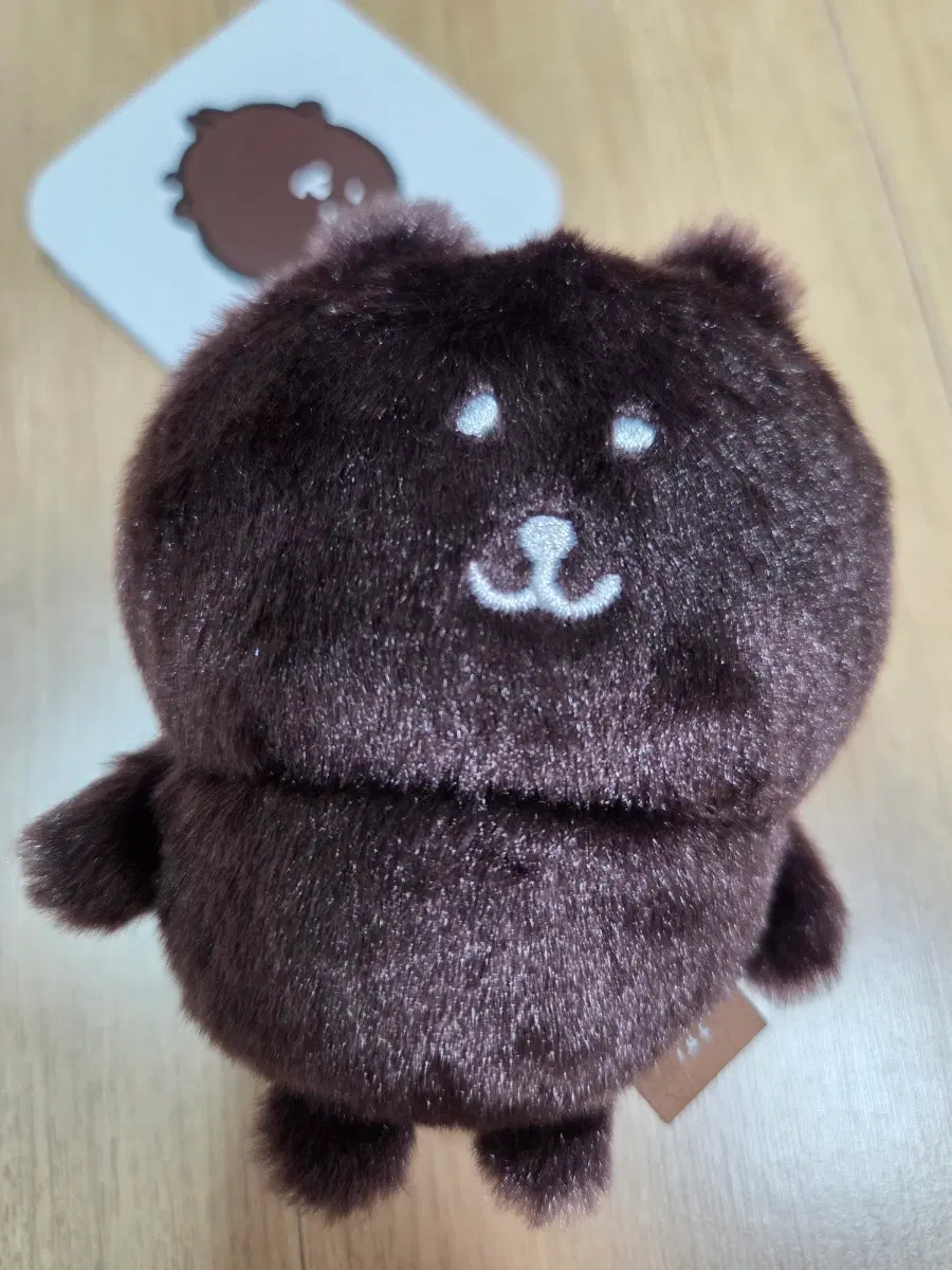 나가노 컬러곰