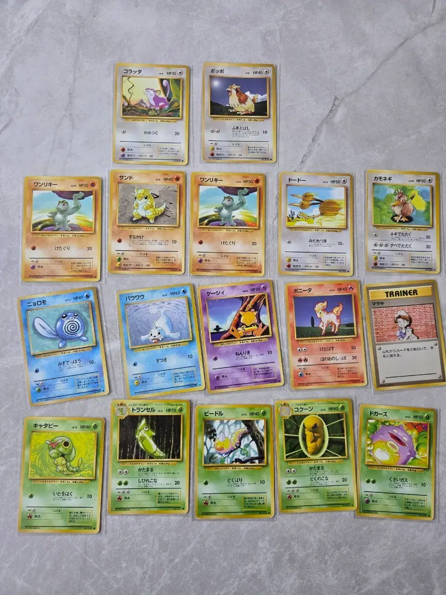 포켓몬카드 올드백 1996 base set