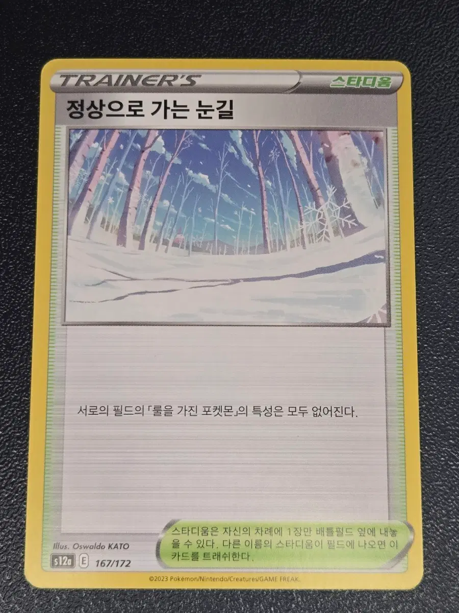 포켓몬 카드 정상으로 가는 눈길 167/172