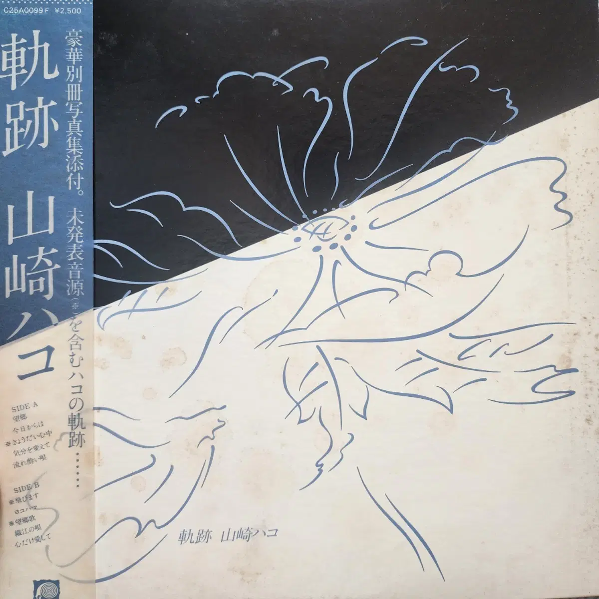 야마자키 하코 Hako Yamasaki LP +사진 포스터