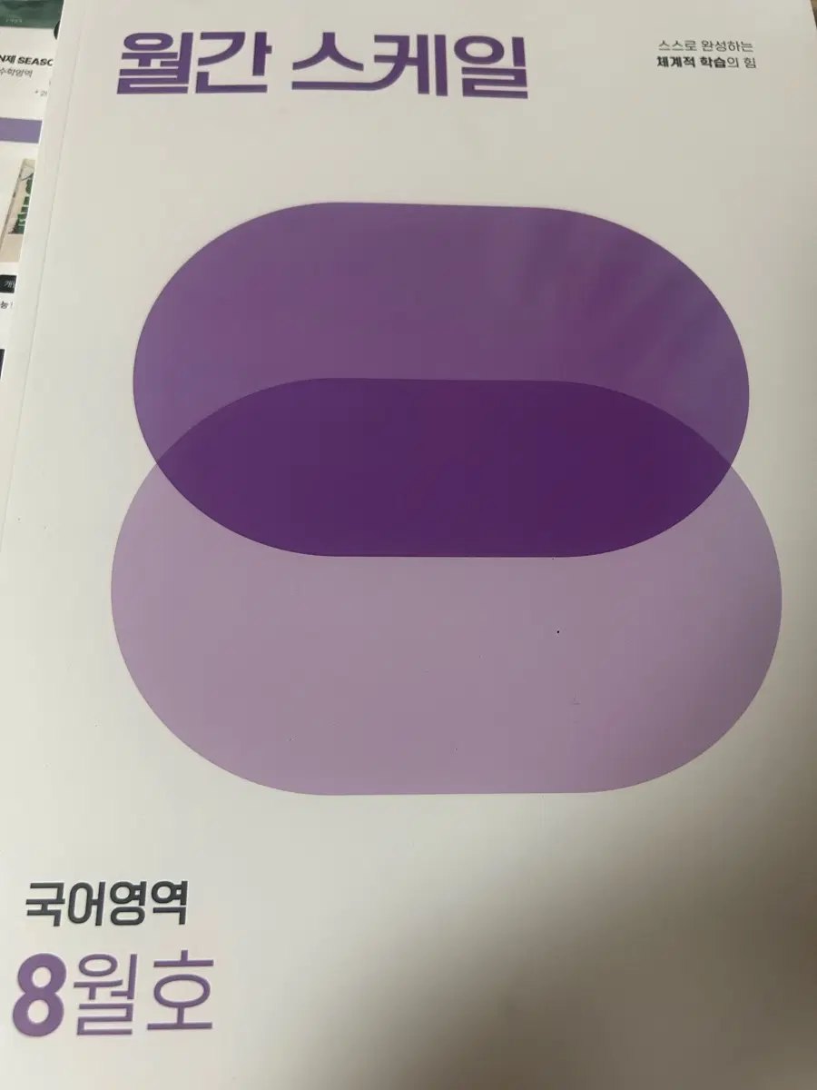 메가스터디 국어 월간지 월간스케일 8월호