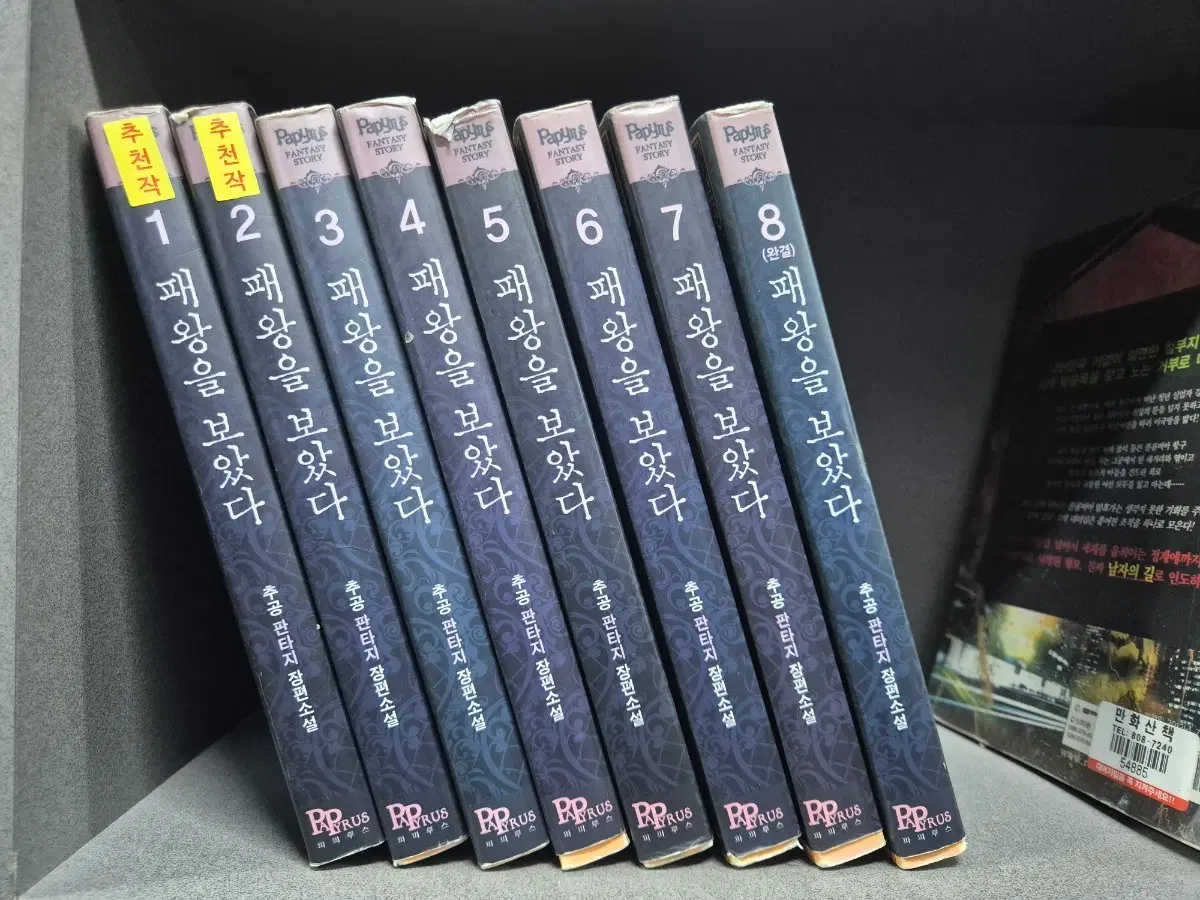 패왕을보았다(추공판타지소설)1~8완 강력추천도서