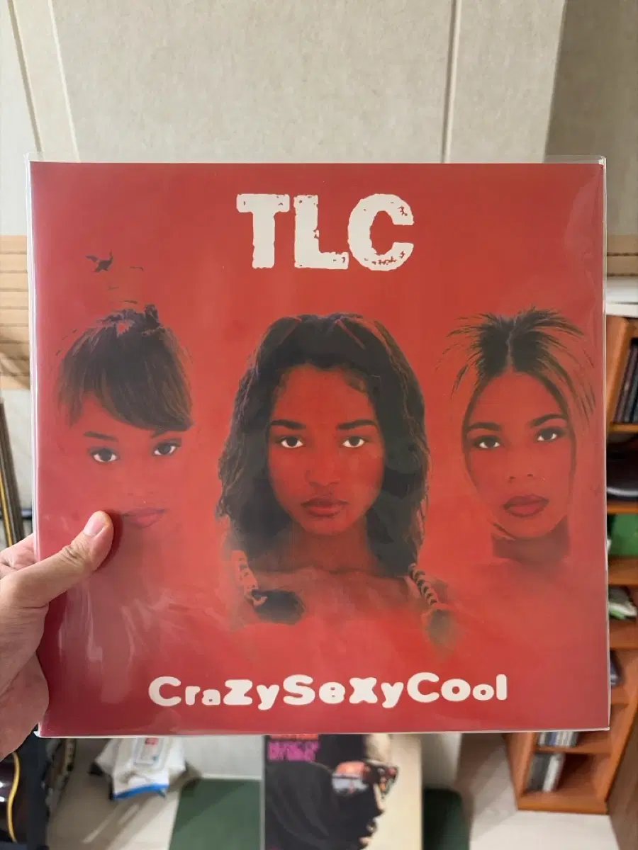Tlc crazysexycool 2012,미국반