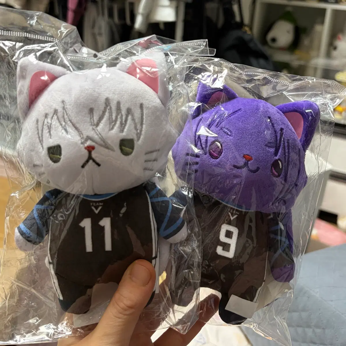 블루록 나기+레오 네코누이 미개봉