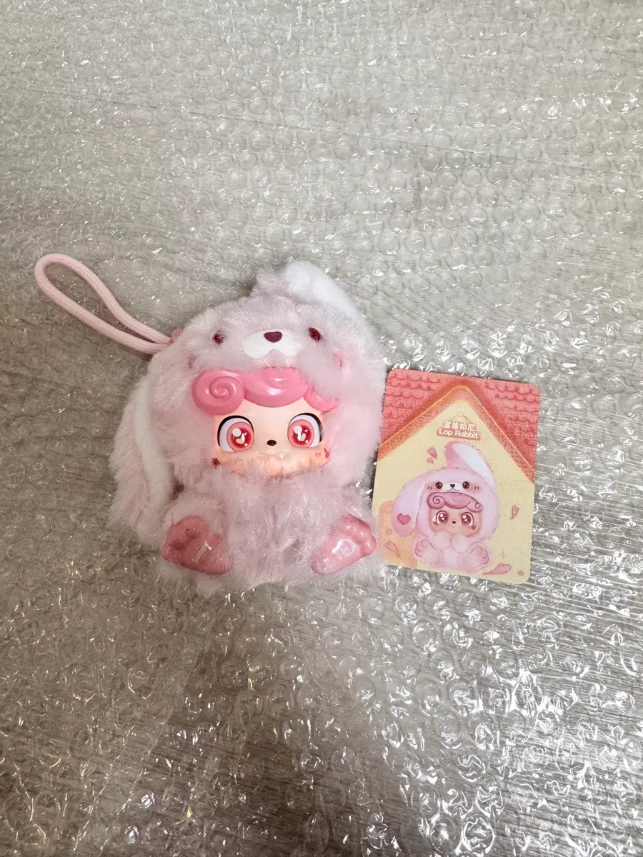 큐키드 펫 인형