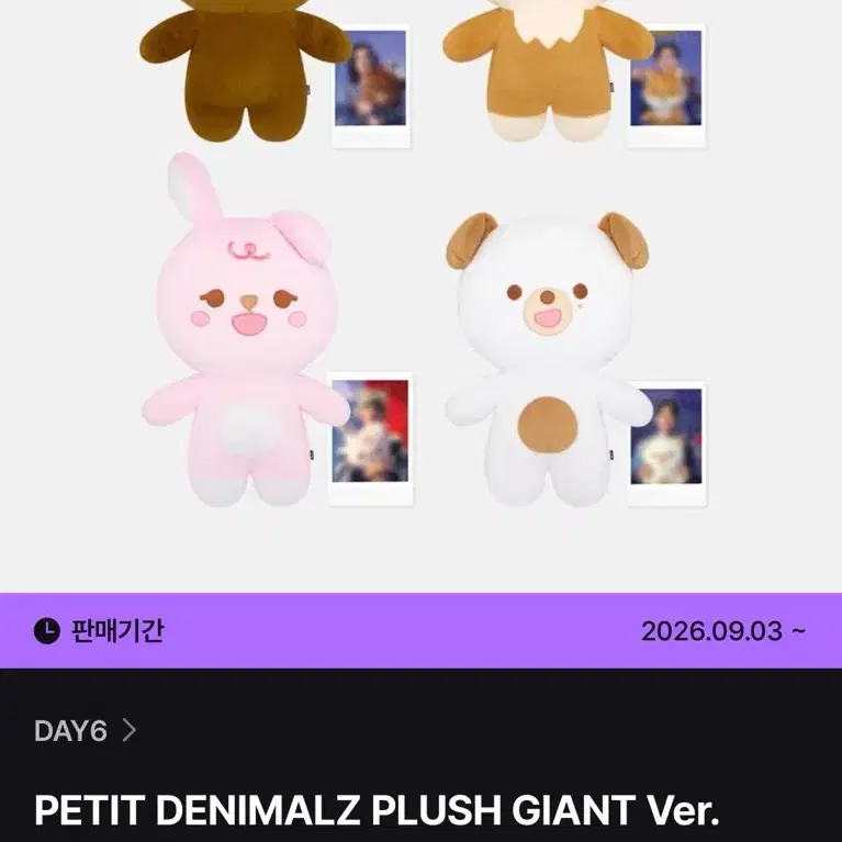 데이식스 자이언트 쁘멀 케 원가이하양도
