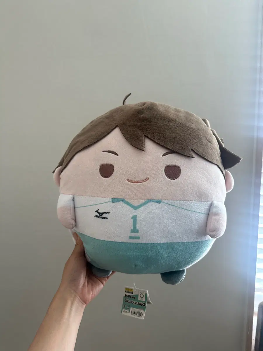 택ㅇ ) 하이큐 오이카와 토오루 빅후와
