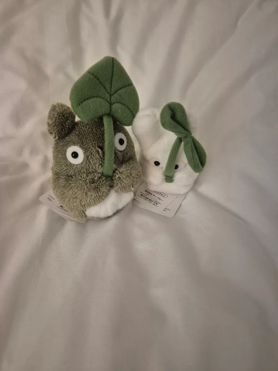토토로 잎사귀 인형 세트