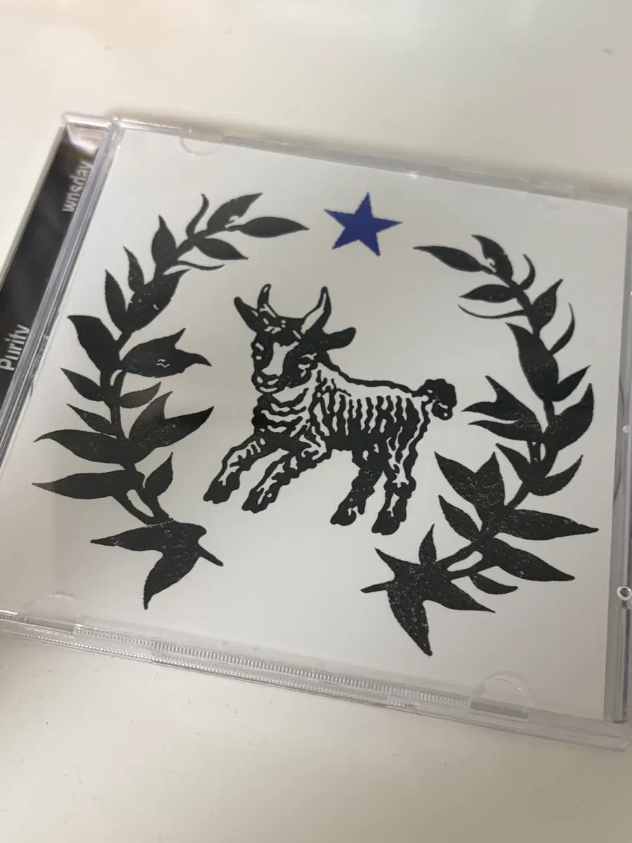 매튜 퓨리티 싸인반CD