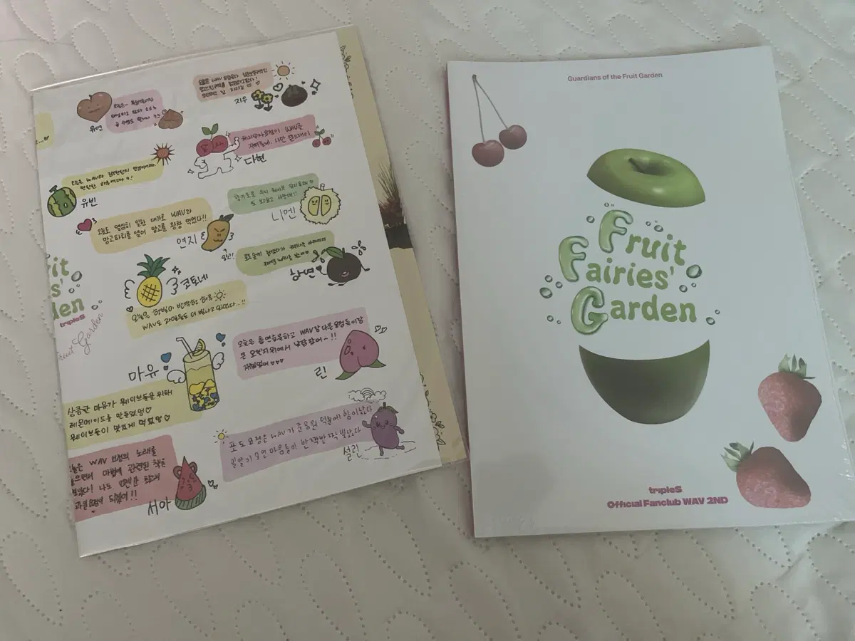트리플에스 멤버쉽 키트 미개봉 구성품 판매
