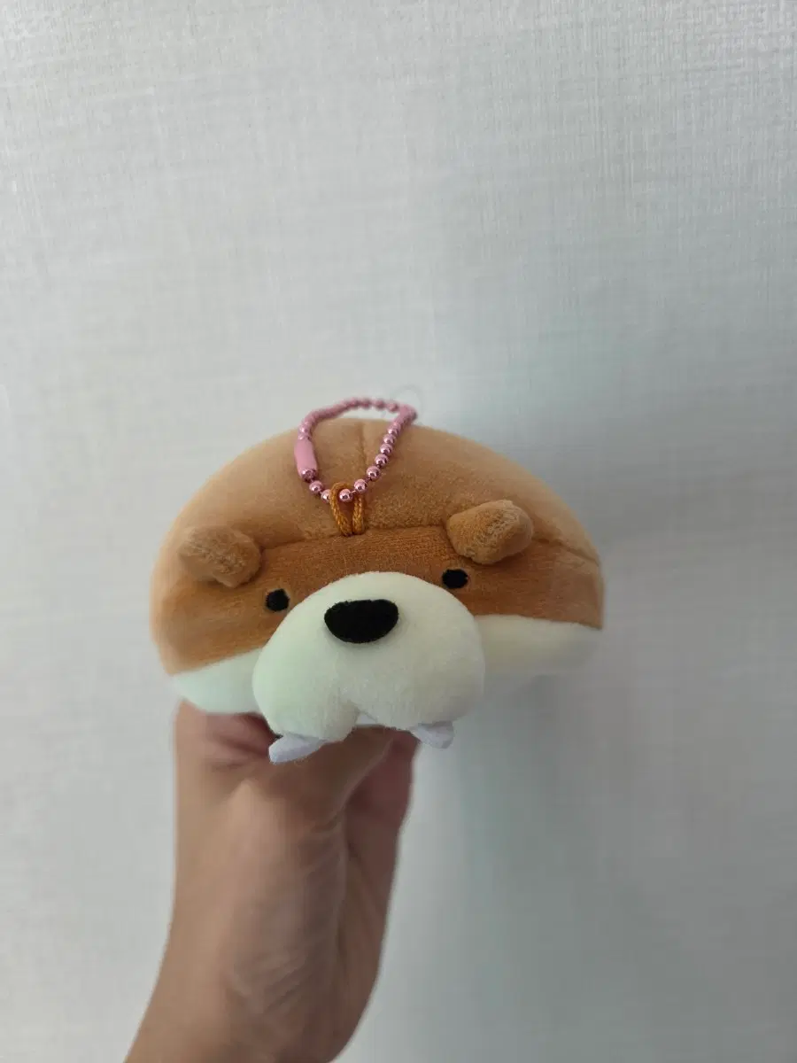 치이카와 베이비 비버 키링 수족관친구들