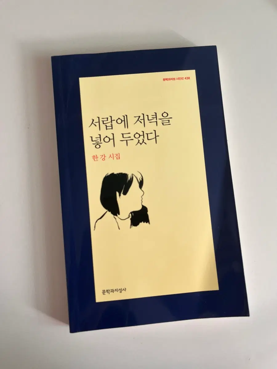 서랍에 저녁을 넣어 두었다 한강 시집