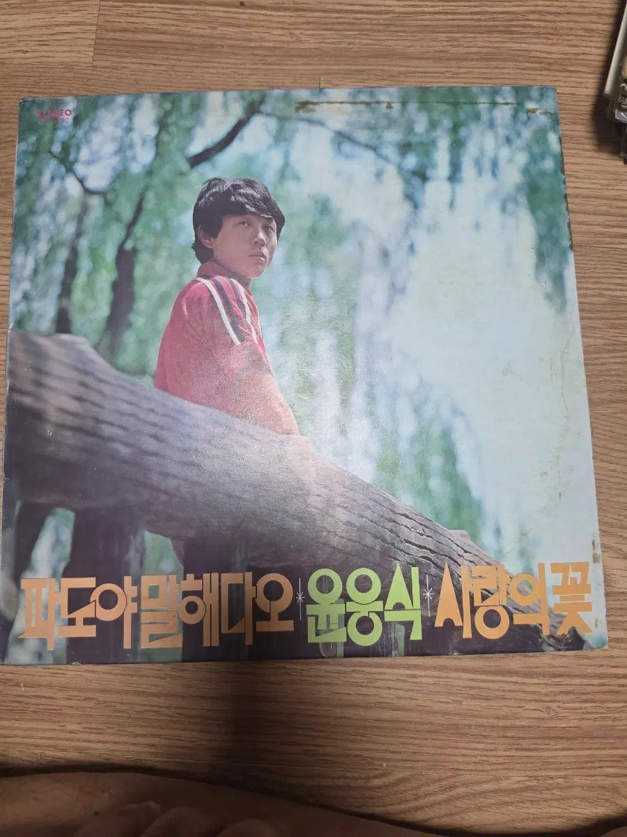 윤응식 파도야 말해다오 시청의 꽃 LP