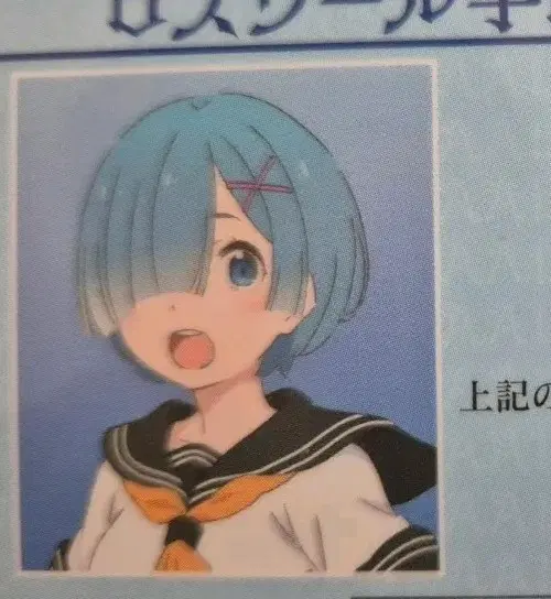 Re:zero/리제로 렘 로즈웰학원 학생증