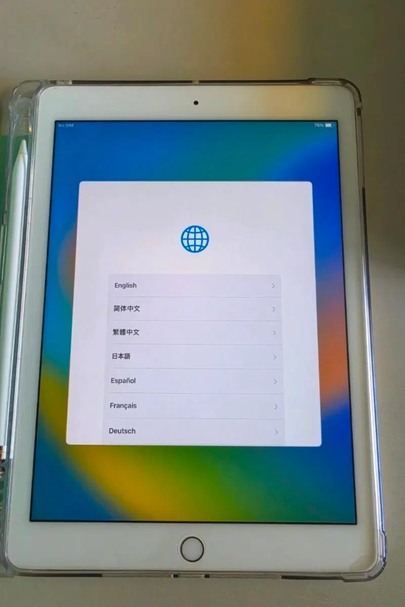 애플 아이패드 프로 9.7 로즈골드 색상 256GB lte