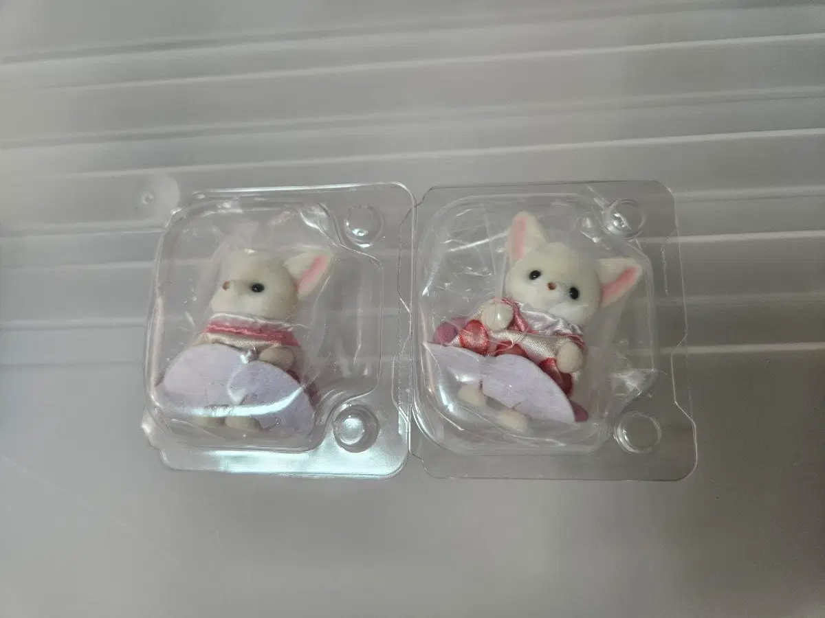 실바니안 티타임 사막여우