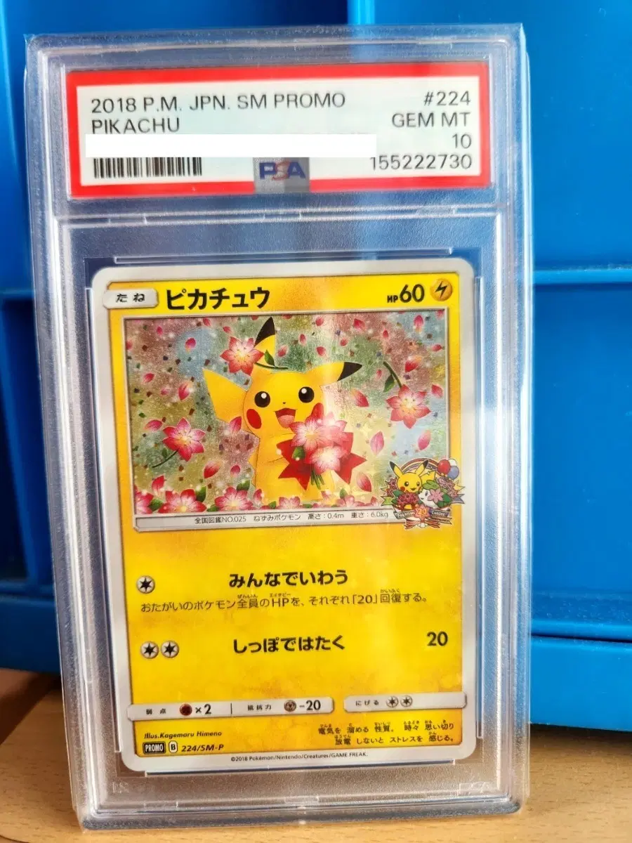 포켓몬카드 벚꽃 피카츄 PSA 10