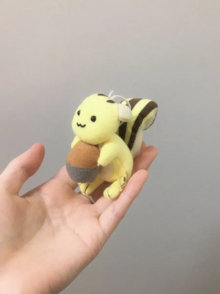 반다이 다람쥐 도토리 빈티지 키링 인형