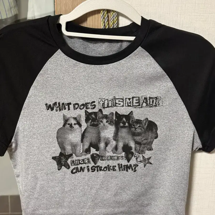 고양이 크롭티