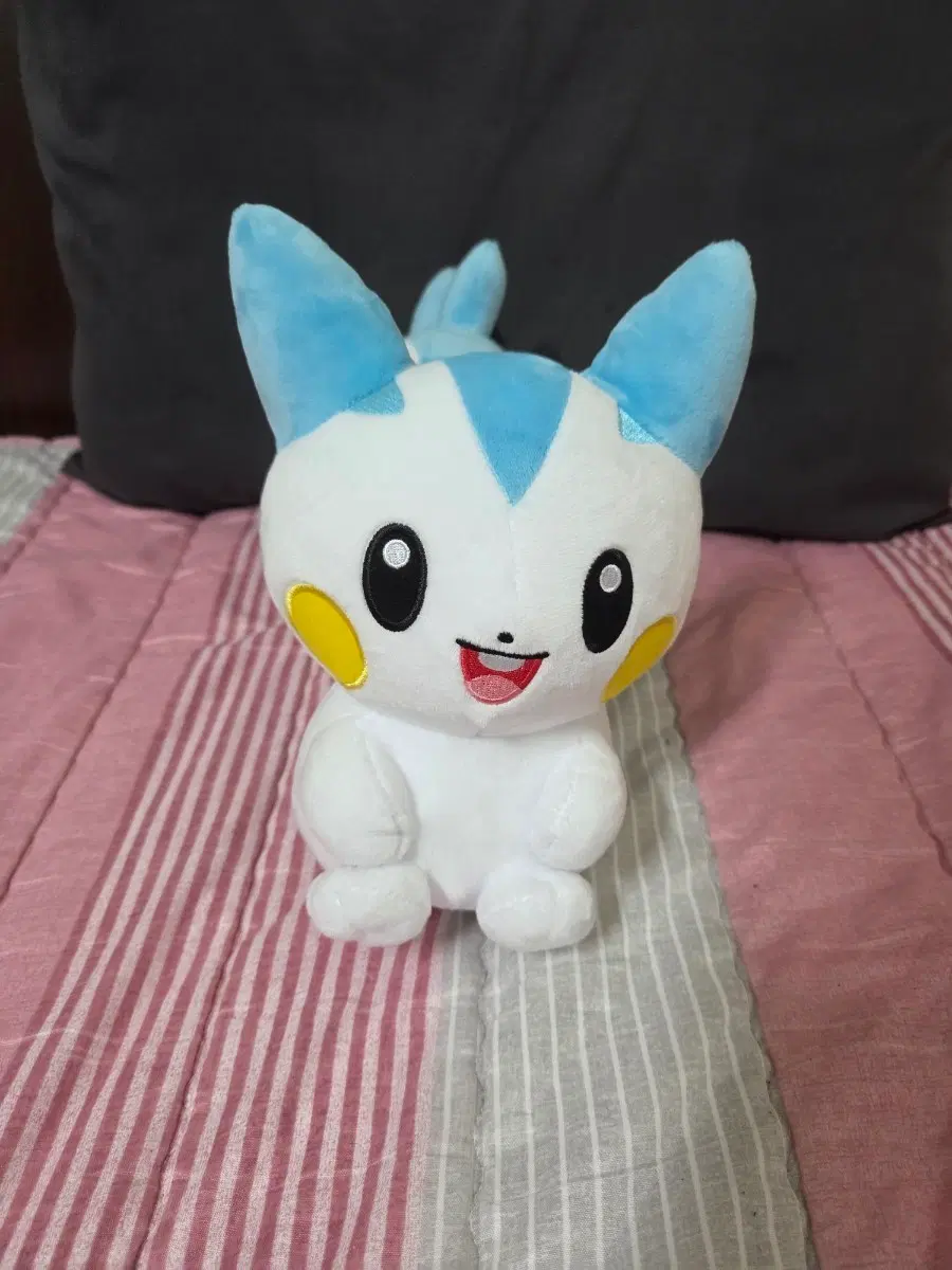 포켓몬 파치리스 인형 25cm 판매