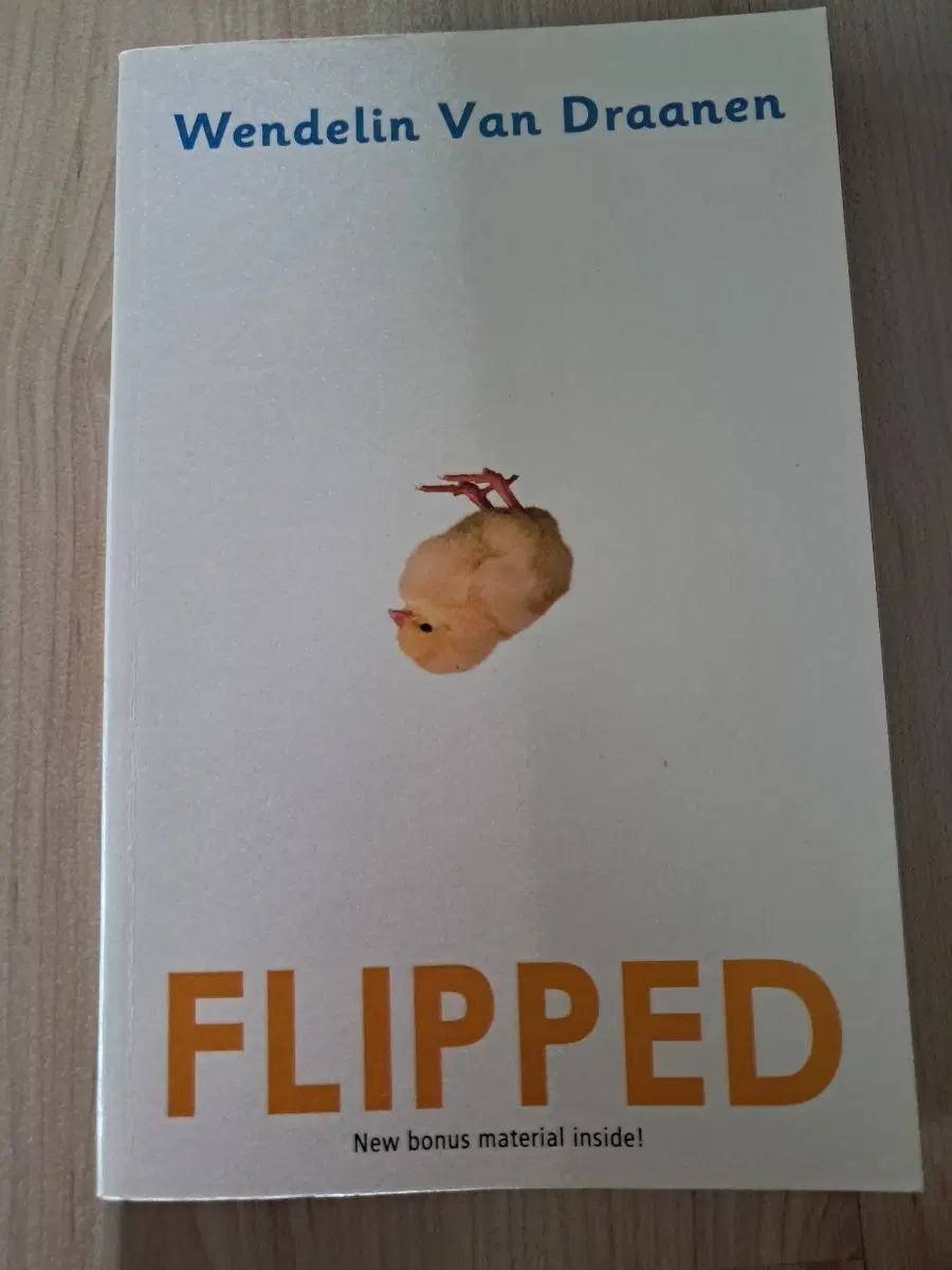 flipped 영어소설