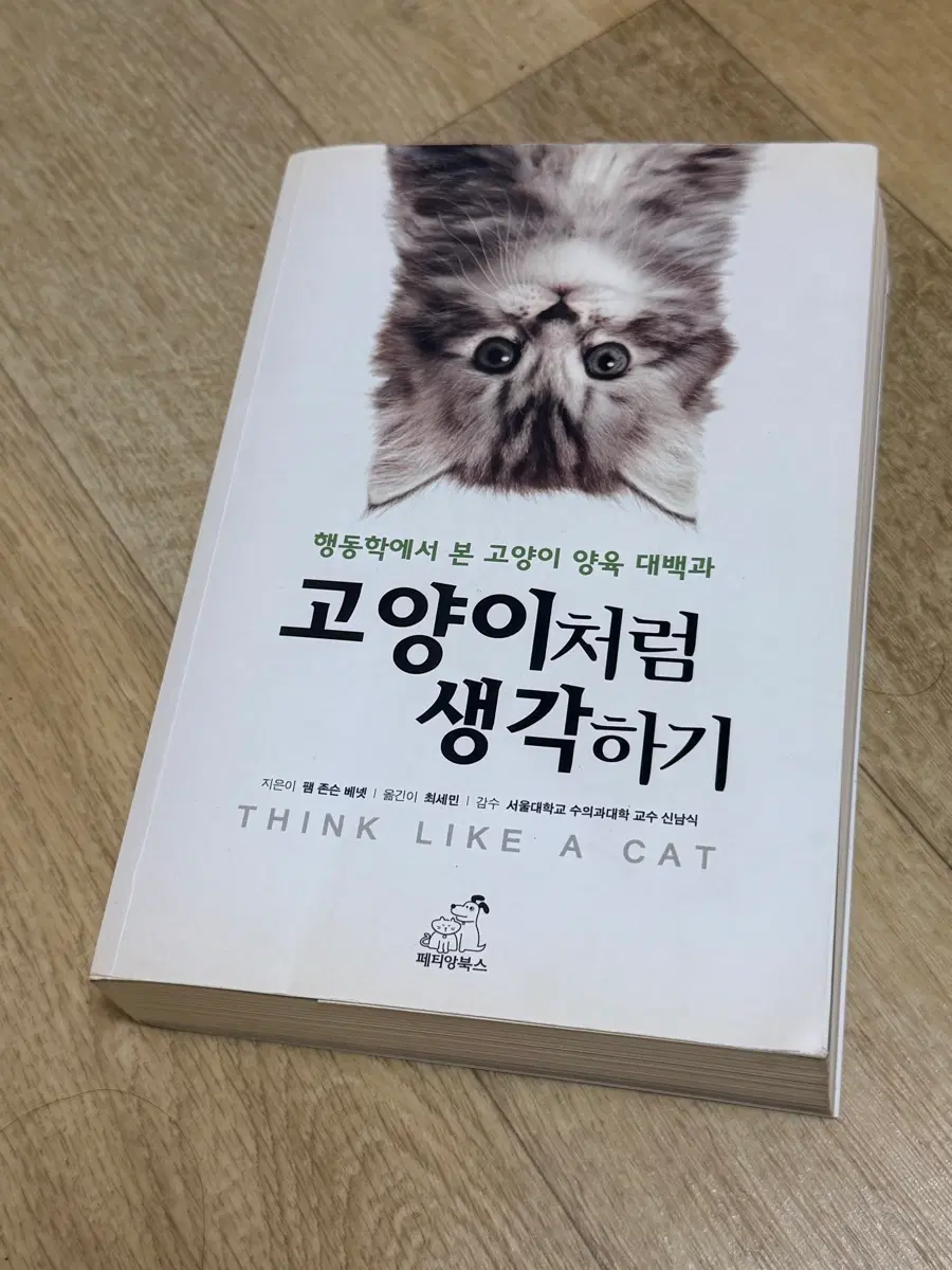고양이처럼 생각하기: 행동학에서 본 고양이 양육 대백과